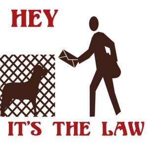 Dog bite injury lawyers